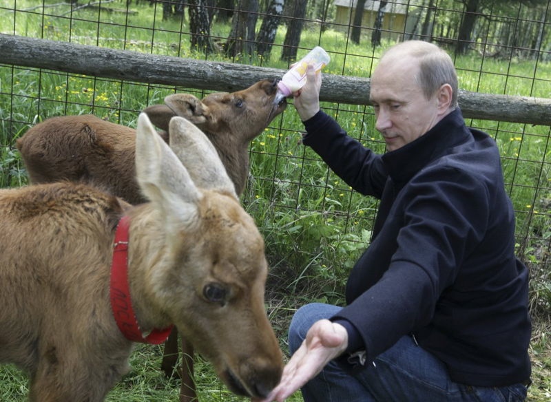 Vladimir Putin 3