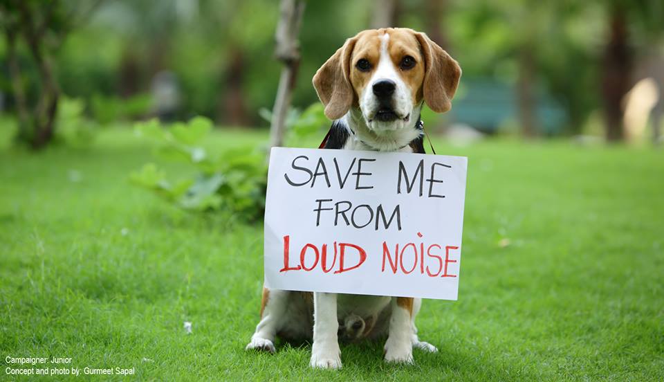diwali 2014, go green, say no to crackers, pollution, save earth, india