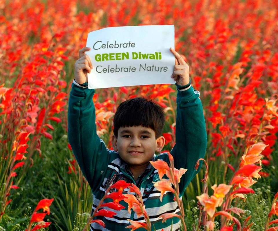 Diwali 2014, go green, say no to crackers, pollution, save earth, india