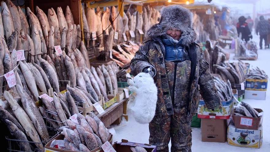oymyakon the frozen village russia, russia, oymyakon, omg, wtf, coldest place on earth, coldest on planet, life in oymyakon, life in russia winter, winter of russia, coldest city in world, weather in russia, oymyakon people, frozen village, oymyakon tourism, oymyakon travel, oymyakon current temperature, oymyakon facts, oymyakon airport, oymyakon average temperature, oymyakon weather