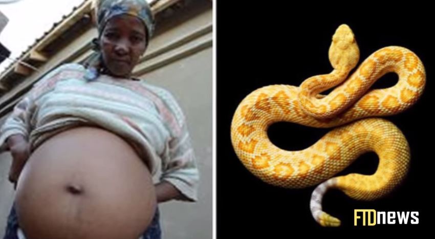 Woman Pregnant With A Snake in South Africa