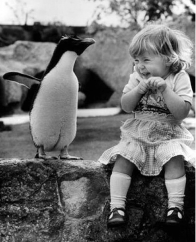 brilliant photos 1