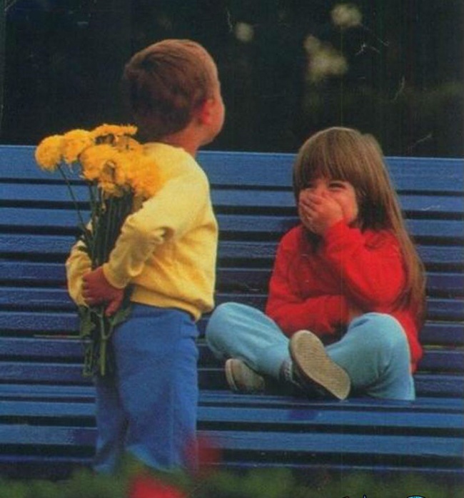 brilliant photos 11