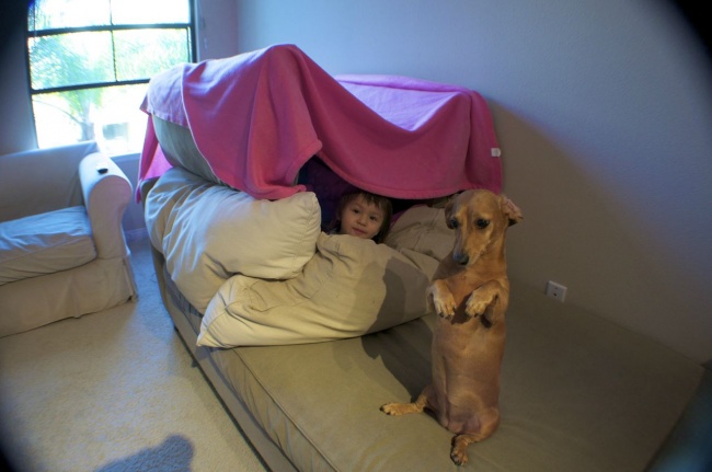 brilliant photos 19