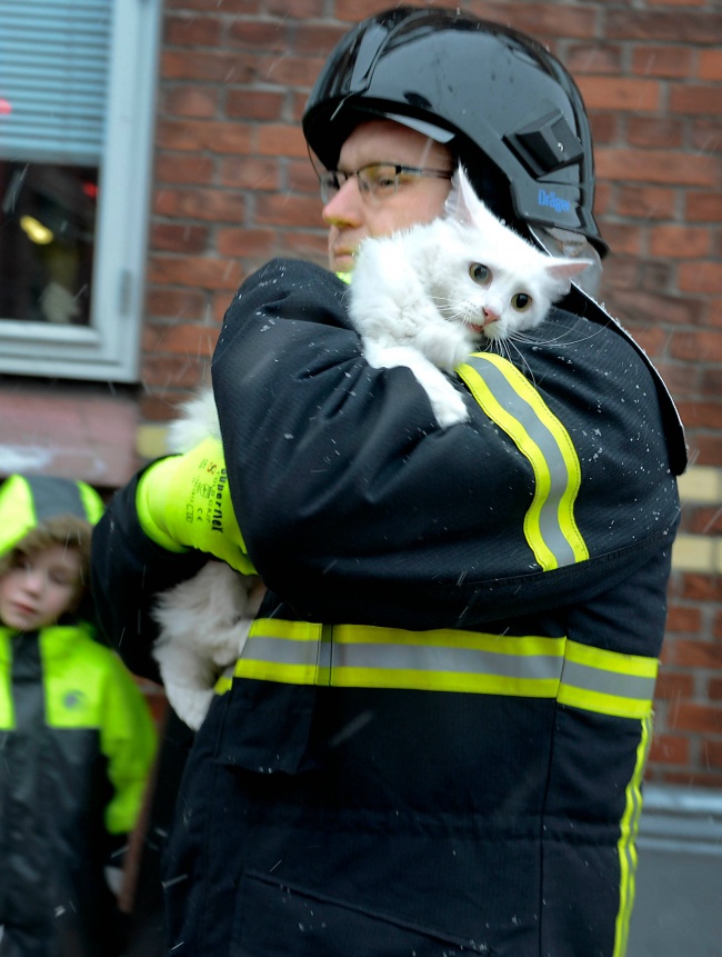 brilliant photos 25