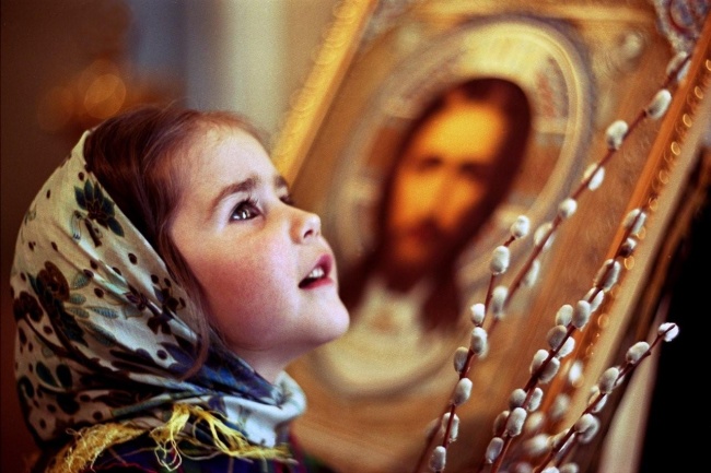 brilliant photos 28