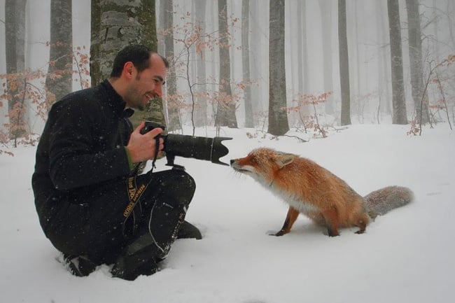 fox 16
