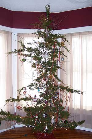 6. Christmas tree. Reality