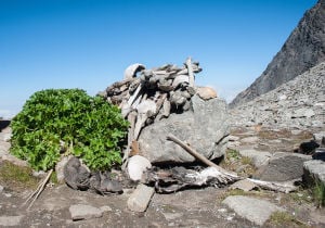 Human_skeletons_in_roopkund_lake-300x210