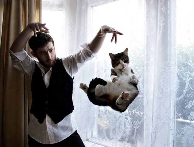 cats 2