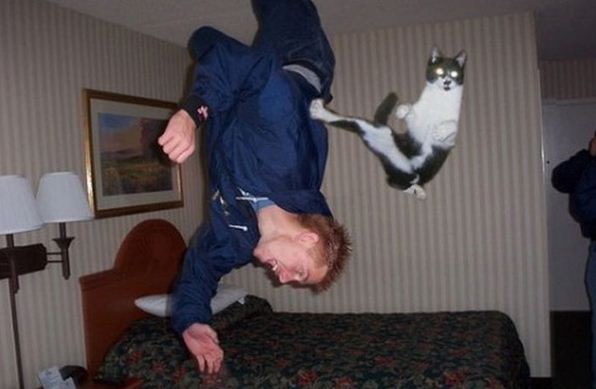 perfectly timed hilarious photos