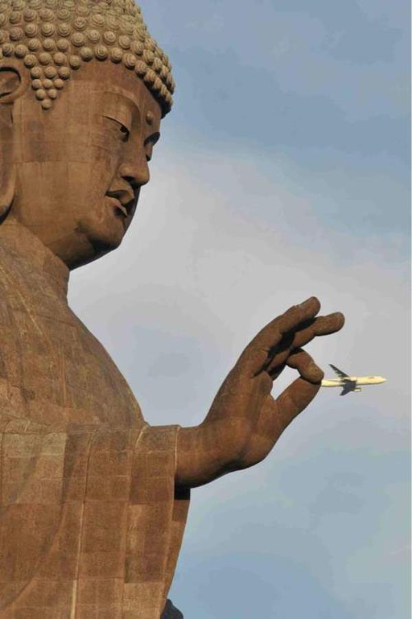 Perfectly-timed-photos-airplane