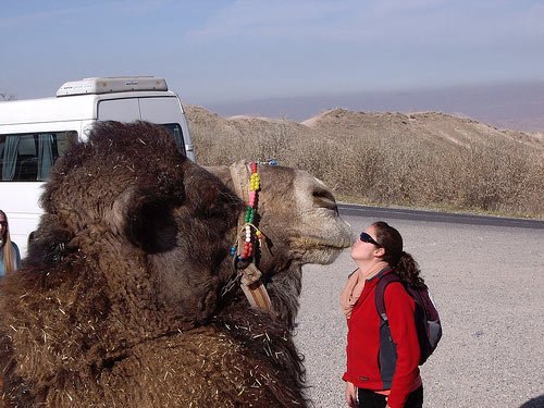 Forced Perspective Photography 16