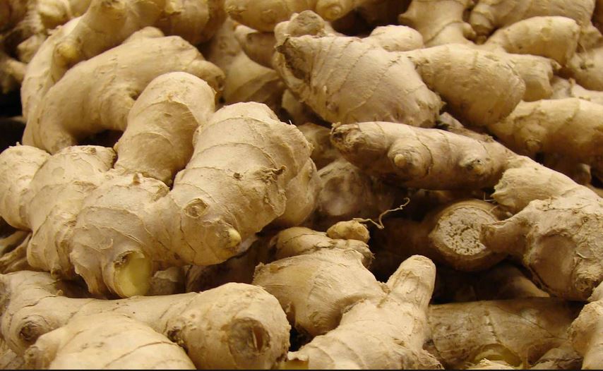 13 Proven & Surprising Health Benifits of Ginger Home Remedies using