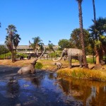 la brea tar pits 1