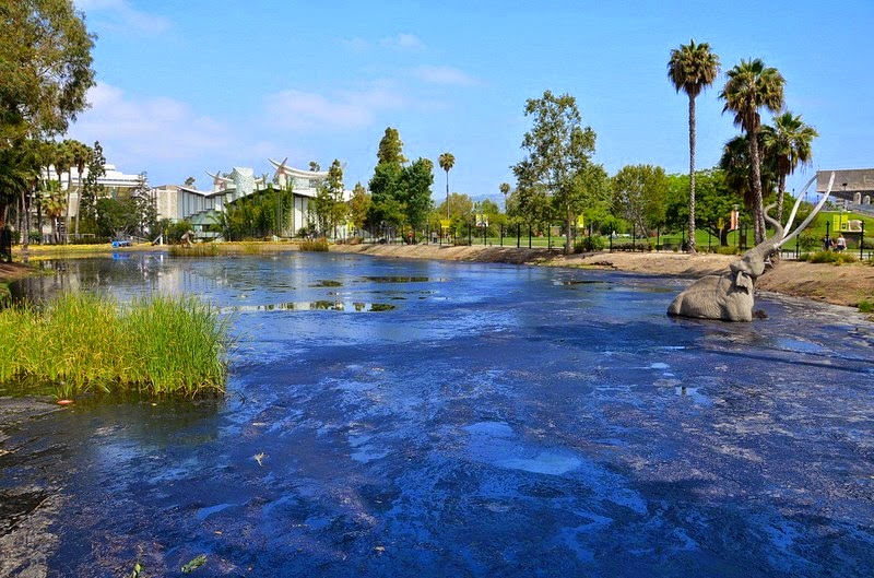 La brea tar pits 3