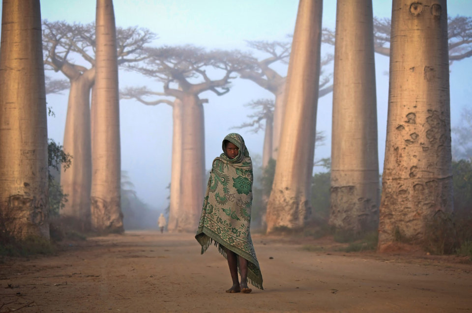 photos that will change your outlook 21