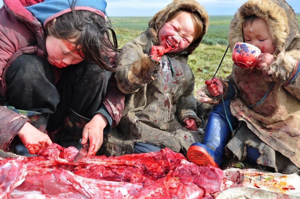 photos that will change your outlook 9
