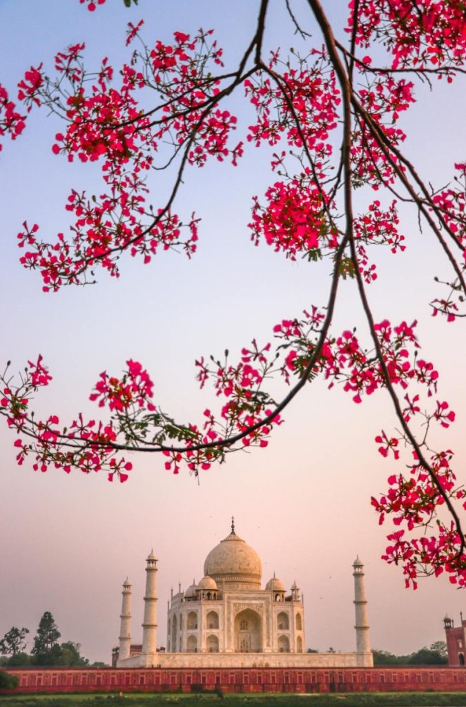 taj mahal 4