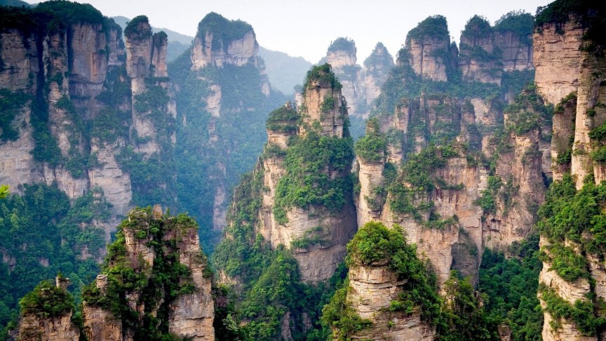 tianzi