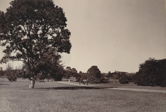 Cubbon park, bangalore taken in the 1890s