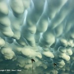 World’s Top 22 Crazy Natural Phenomena You Won’t Believe Actually Exist! 25