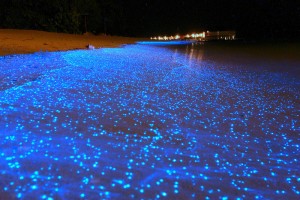 Rare Natural Phenomena, amazing world, Bioluminescence, Supercells, Volcanic Lightning, Snow Donuts, Fire Rainbows, Lenticular Clouds, Auroras, Fire Whirls, Finnish Lapland, Sun Dogs, Skypunch, Frost Flowers, Columnar Basalt, Penitentes, Light Poles, Morning Glory Clouds, Waterspouts, Mammatus Clouds, The Hessdalen Light, Brinicles, Earthquake Lights, Ball Lightning, most amazing natural phenomenon in the world, top 10 most amazing natural phenomenon in the world, unbelievable natural phenomenon, amazing natural events, natural phenomena, water phenomenons, rare phenomenon in nature, rare events, Mysterious world, bizzare world, most amazing Places, Incredible