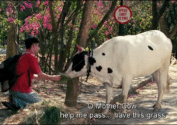 things all engineers go through 6