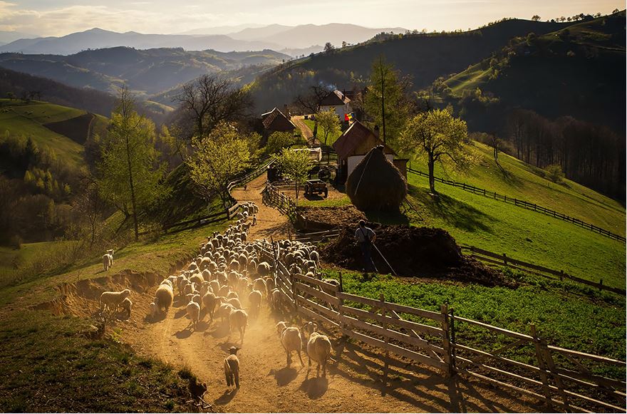 romania facts, Romania, Romania history, romania attractions