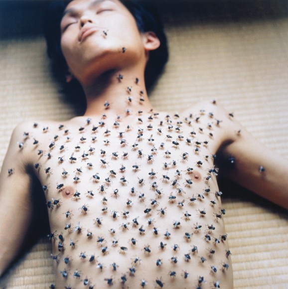 Rinko kawauchi photography, asian photographers, asia, asian art, japanese photographer, asian photography, famous photographers, popular photographers