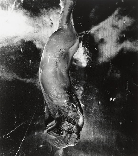 Shomei Tomatsu photography, asian photographers, asia, asian art, japanese photographer, asian photography, famous photographers, popular photographers