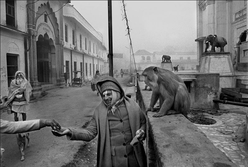 Raghu Rai photography, asian photographers, asia, asian art, indian photographer, asian photography, famous photographers, popular photographers
