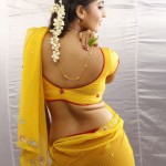 Actress-Anushka-Shetty-Hot-Stills-Collection-053