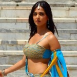 Anushka-shetty-hot-new-photo-wallpaper-free