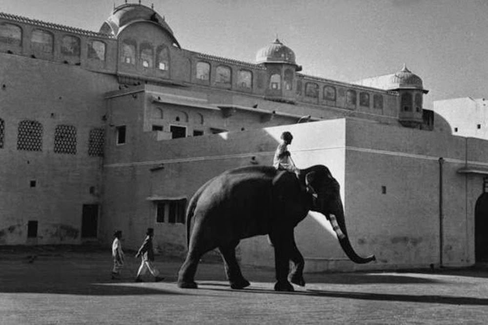 Elephant in front of jaipur palace - rajasthan, india 1956