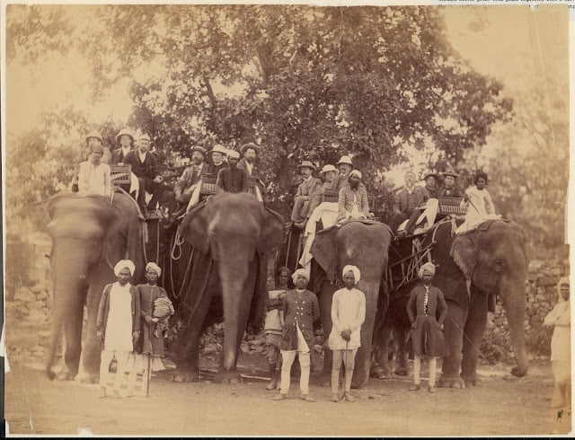 Four elephants with western travellers and attendants, jaipur, india - 1860s-70's