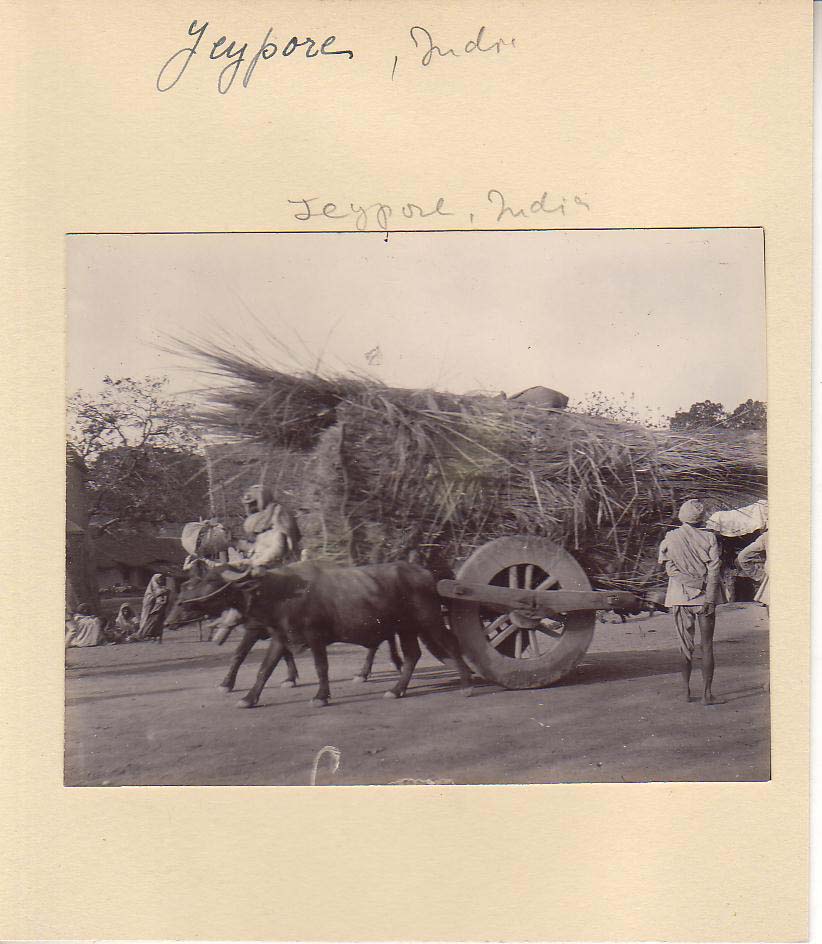 An ox-cart passing by