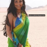 anushka_shetty_spicy_pics (15)
