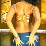 anushka_shetty_spicy_pics (18)