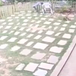 earthquake