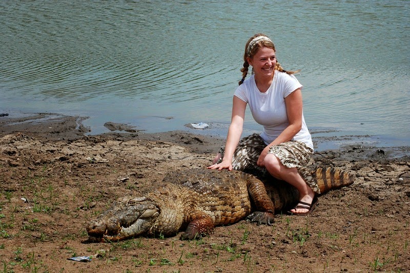 Crocodiles in paga, friendly crocodile