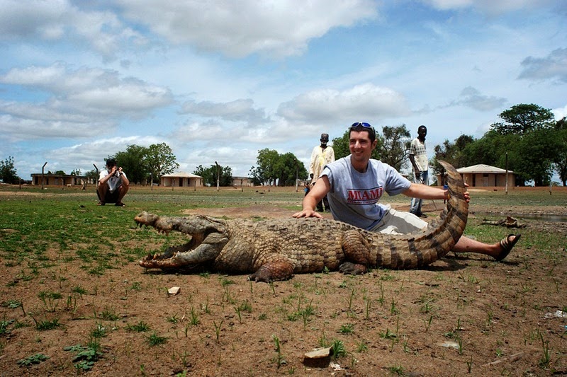 Crocodiles in paga, friendly crocodile