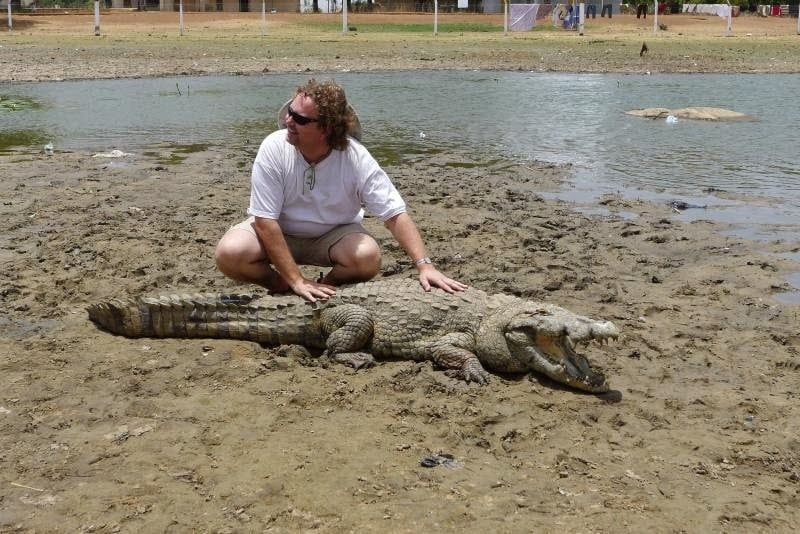 Crocodiles in paga, friendly crocodile