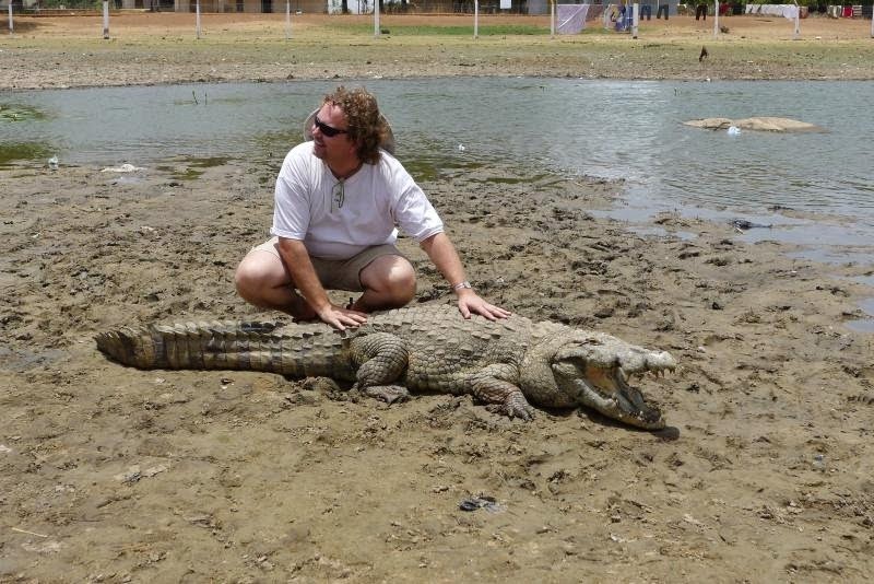 crocodiles in paga, friendly crocodile