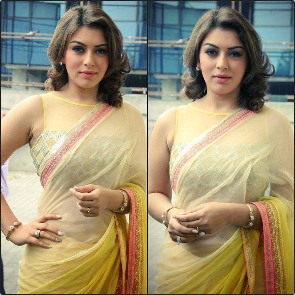 Hansika motwani hot photo (14)