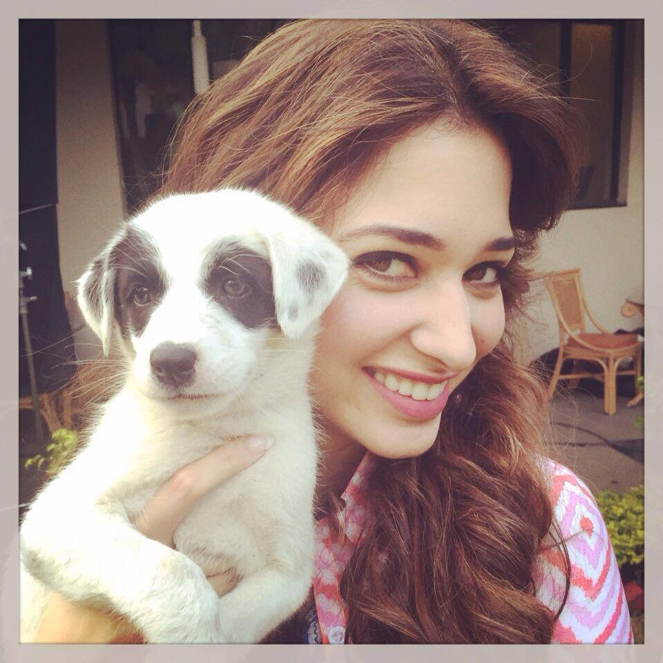 Hot n sexy Tamannah (14)