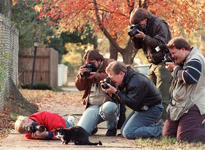 Funny photographer, crazy photographer, mad photographer, dangerous, heartstopping, mad photographers, most famous photo, national geographic photographers, best photo, most popular photo, nature documentary, funny, animal, lol, viral, wtf, photography