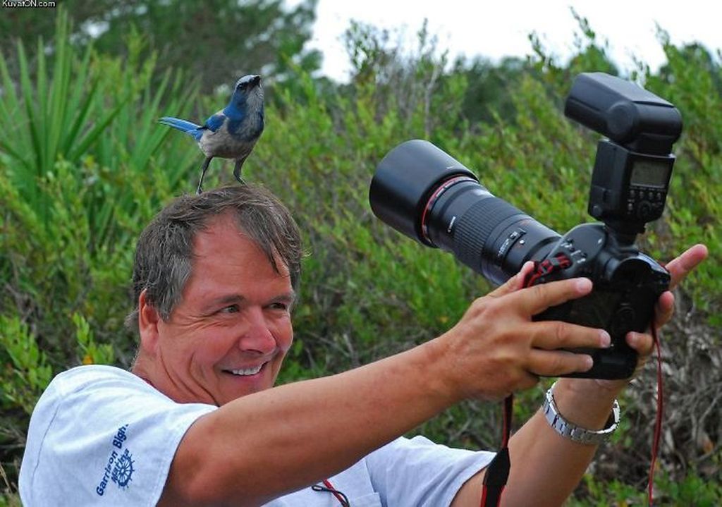 Funny photographer, crazy photographer, mad photographer, dangerous, heartstopping, mad photographers, most famous photo, national geographic photographers, best photo, most popular photo, nature documentary, funny, animal, lol, viral, wtf, photography