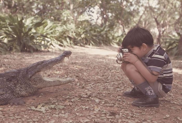 Funny photographer, crazy photographer, mad photographer, dangerous, heartstopping, mad photographers, most famous photo, national geographic photographers, best photo, most popular photo, nature documentary, funny, animal, lol, viral, wtf, photography