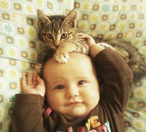 Baby, babies, cat with kids, cat with baby, cat, animal, awesome, cool, omg, sweet, cuttest cat, cat photo, cat images